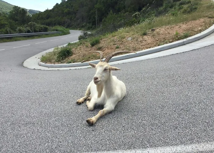 Manon - By Foot Terrace With Sea View Apartamento